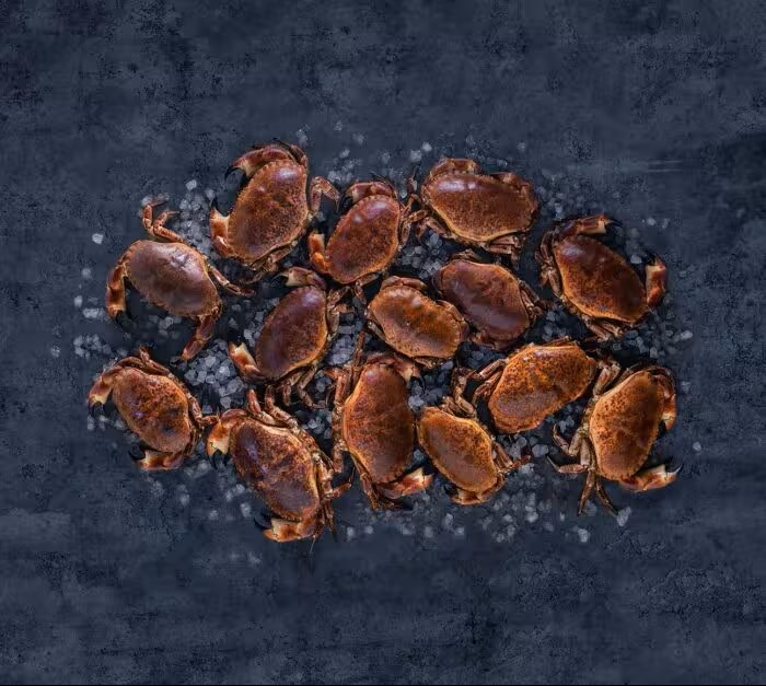 mariscos de Noruega
