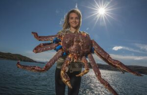 mariscos de Noruega