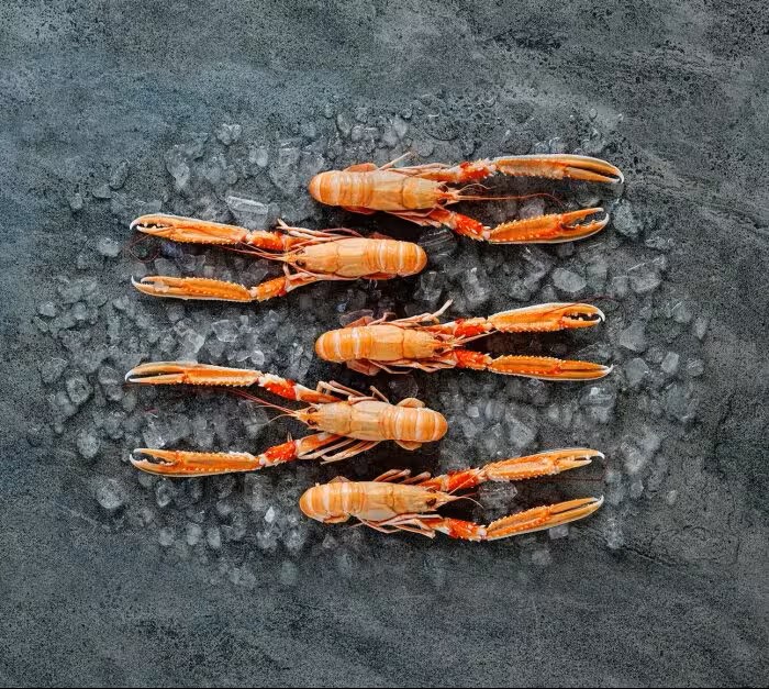 mariscos de Noruega
